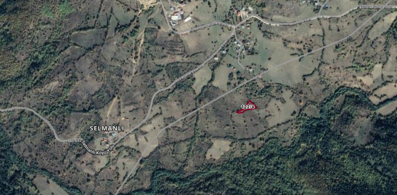 KASTAMONU AĞLI SELMANLI  KÖYÜNDE  1.786  M² TARLA SATILIKTIR - KASTAMONU AĞLI fotoğraf 3